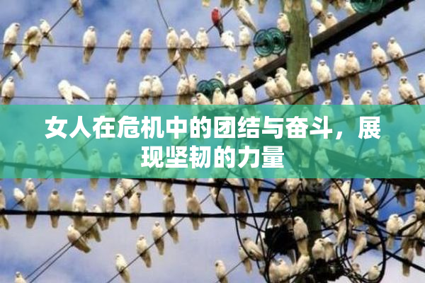 女人在危机中的团结与奋斗，展现坚韧的力量