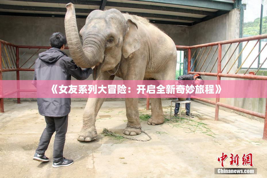 《女友系列大冒险：开启全新奇妙旅程》