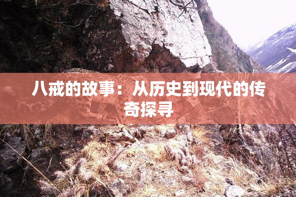 八戒的故事：从历史到现代的传奇探寻
