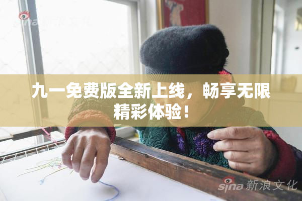 九一免费版全新上线，畅享无限精彩体验！