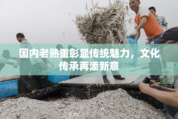 国内老熟重彰显传统魅力，文化传承再添新意