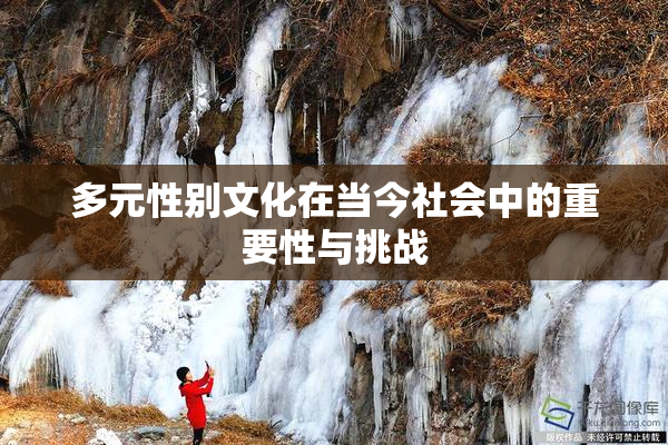 多元性别文化在当今社会中的重要性与挑战