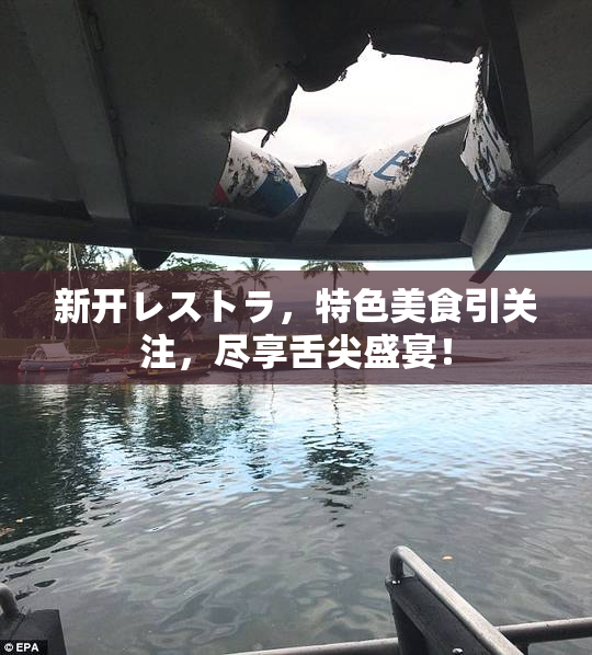 新开レストラ，特色美食引关注，尽享舌尖盛宴！