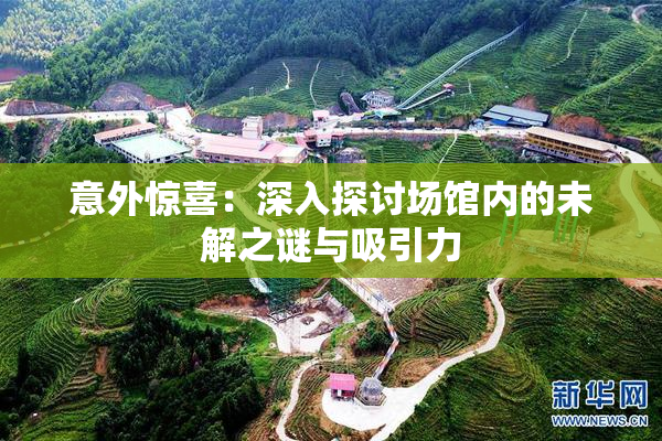 意外惊喜：深入探讨场馆内的未解之谜与吸引力