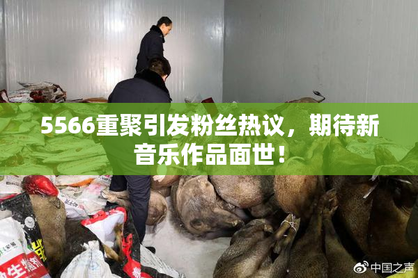 5566重聚引发粉丝热议，期待新音乐作品面世！