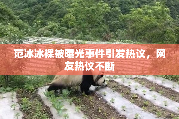 范冰冰裸被曝光事件引发热议，网友热议不断