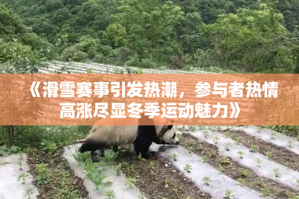 《滑雪赛事引发热潮，参与者热情高涨尽显冬季运动魅力》