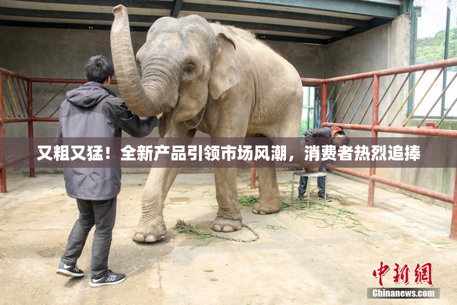 又粗又猛！全新产品引领市场风潮，消费者热烈追捧