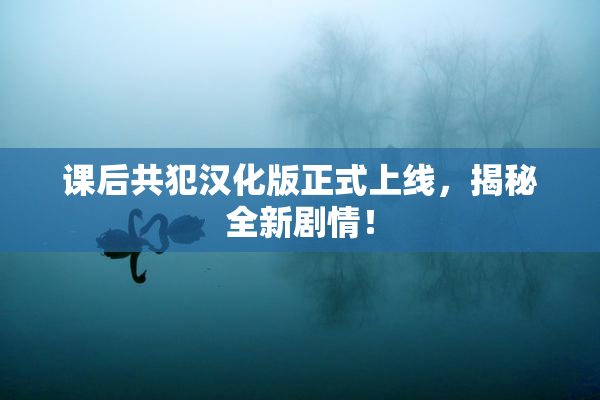 课后共犯汉化版正式上线，揭秘全新剧情！