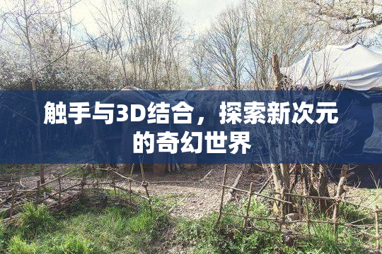 触手与3D结合，探索新次元的奇幻世界