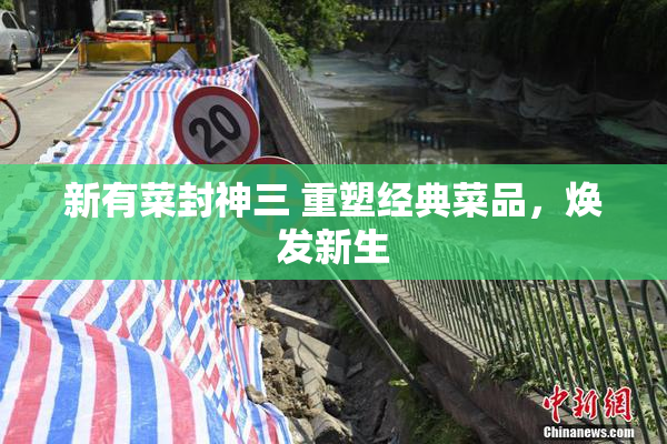 新有菜封神三 重塑经典菜品，焕发新生