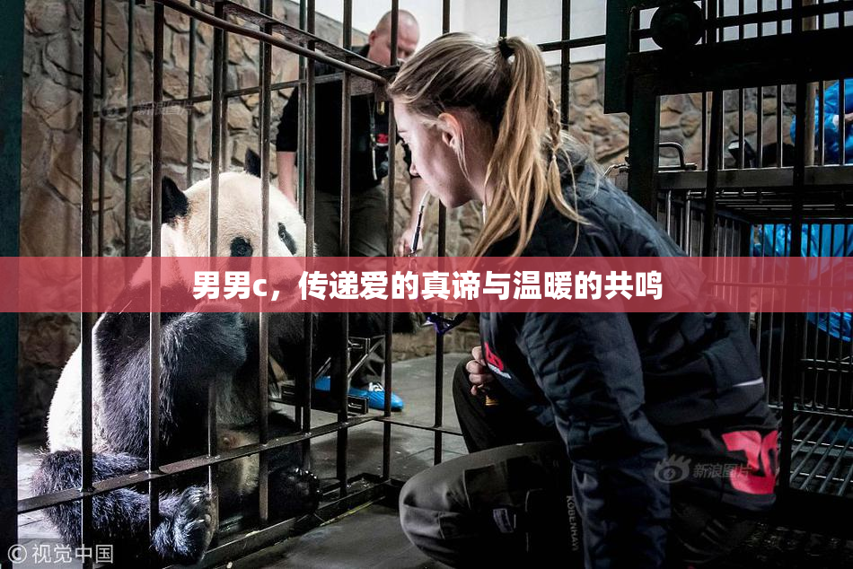 男男c，传递爱的真谛与温暖的共鸣