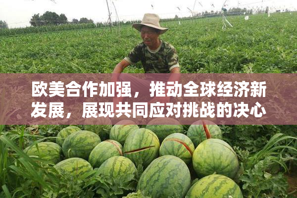 欧美合作加强，推动全球经济新发展，展现共同应对挑战的决心