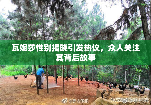 瓦妮莎性别揭晓引发热议，众人关注其背后故事