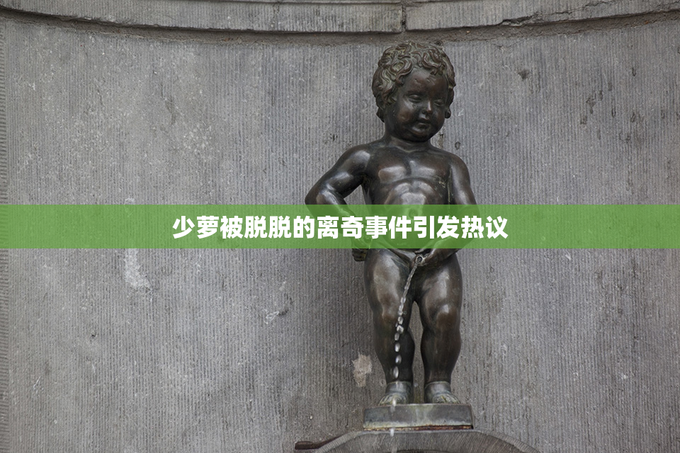 少萝被脱脱的离奇事件引发热议