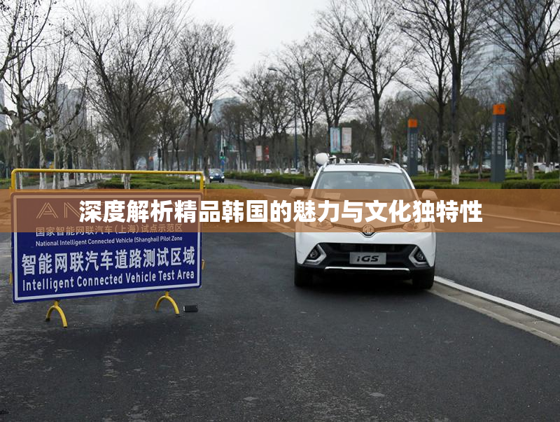 深度解析精品韩国的魅力与文化独特性