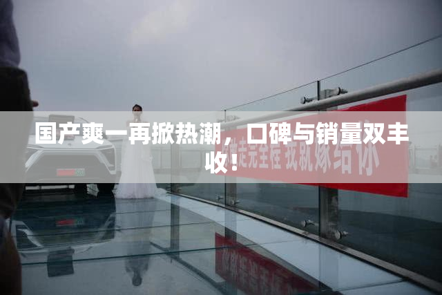 国产爽一再掀热潮，口碑与销量双丰收！