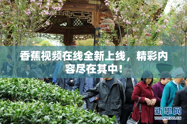香蕉视频在线全新上线，精彩内容尽在其中！