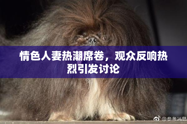 情色人妻热潮席卷，观众反响热烈引发讨论