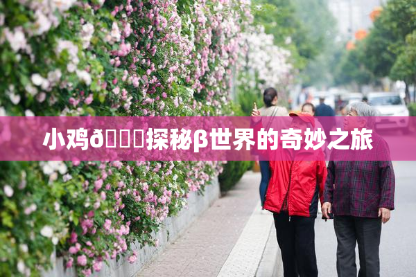 小鸡🐔探秘β世界的奇妙之旅
