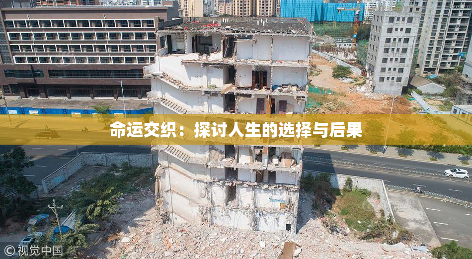 命运交织：探讨人生的选择与后果