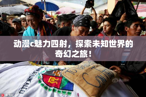 动漫c魅力四射，探索未知世界的奇幻之旅！