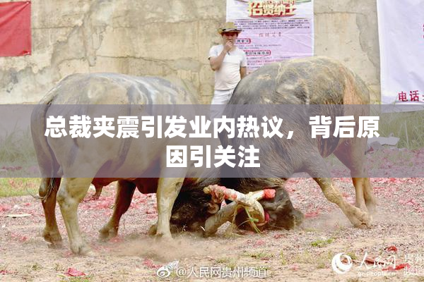 总裁夹震引发业内热议，背后原因引关注