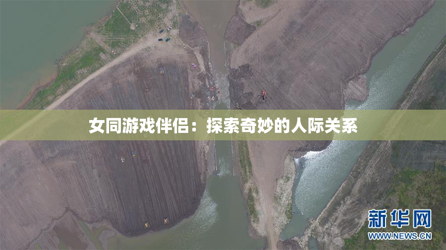 女同游戏伴侣：探索奇妙的人际关系