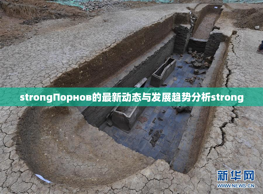 strongПорнов的最新动态与发展趋势分析strong