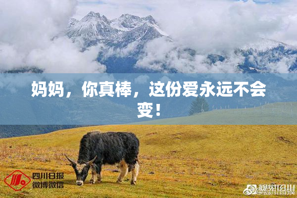 妈妈，你真棒，这份爱永远不会变！