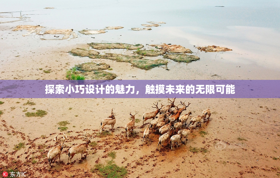 探索小巧设计的魅力，触摸未来的无限可能