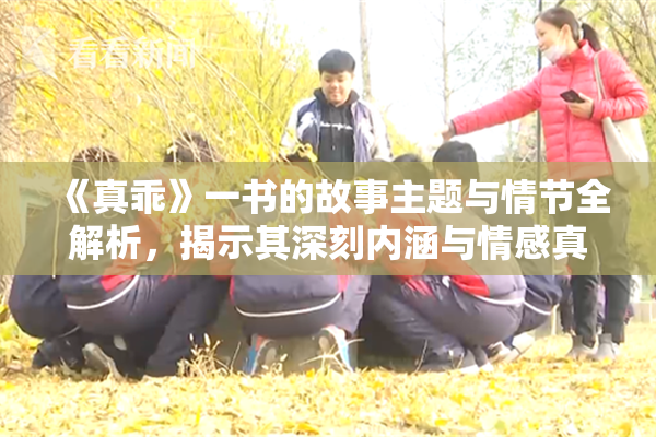 《真乖》一书的故事主题与情节全解析，揭示其深刻内涵与情感真谛。