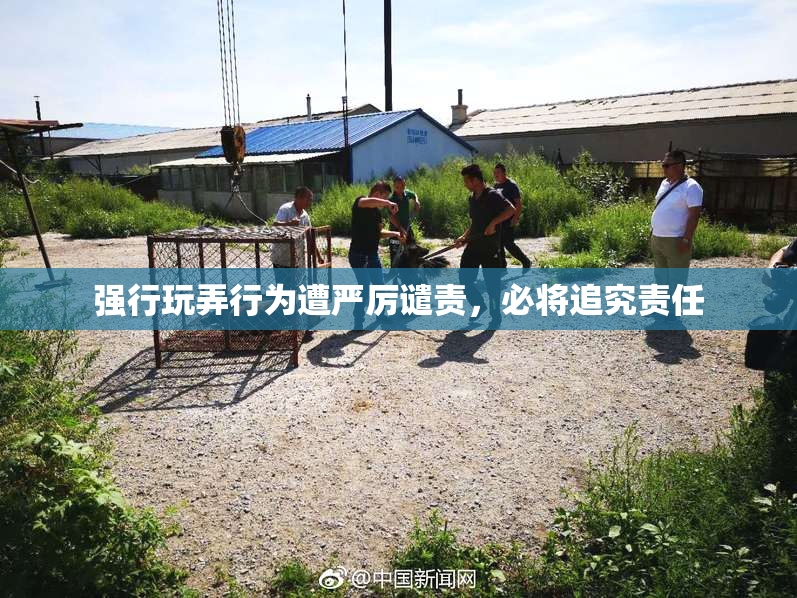 强行玩弄行为遭严厉谴责，必将追究责任