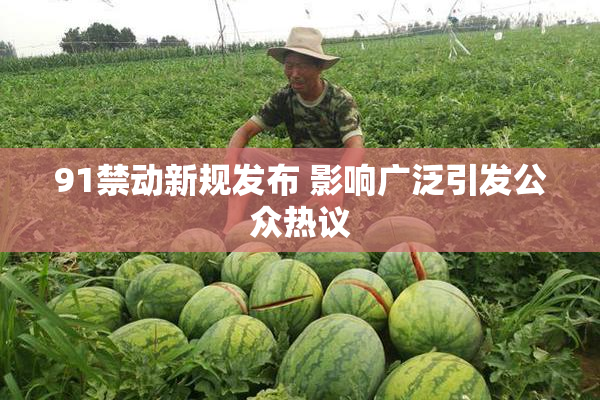 91禁动新规发布 影响广泛引发公众热议