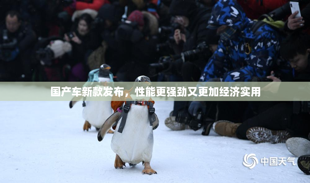 国产车新款发布，性能更强劲又更加经济实用