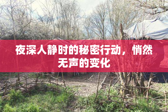 夜深人静时的秘密行动，悄然无声的变化