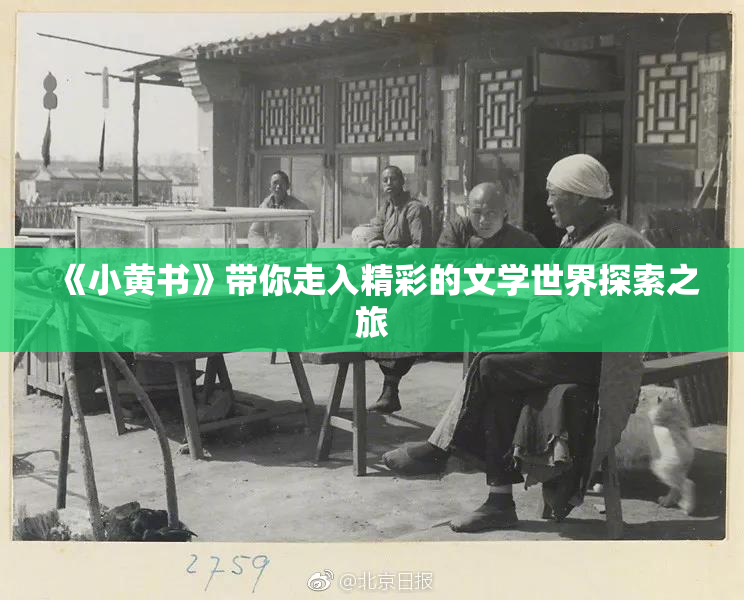 《小黄书》带你走入精彩的文学世界探索之旅