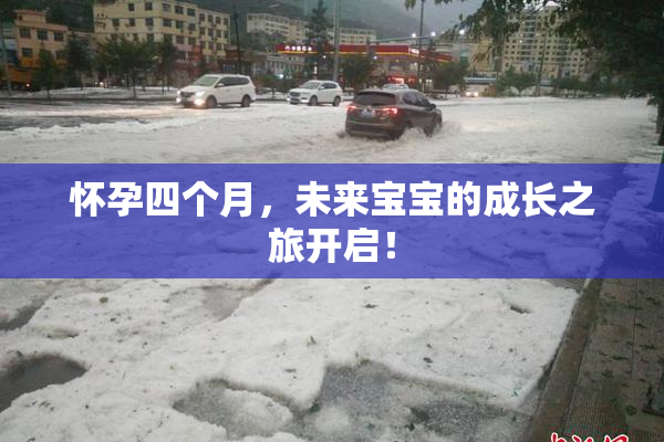 怀孕四个月，未来宝宝的成长之旅开启！