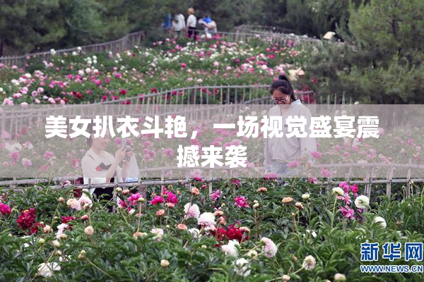美女扒衣斗艳，一场视觉盛宴震撼来袭