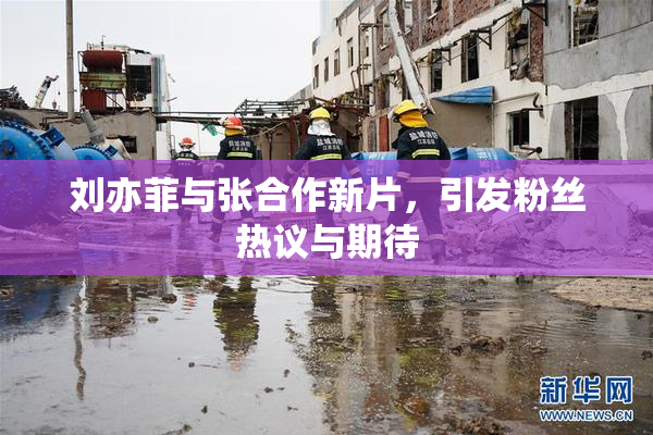 刘亦菲与张合作新片，引发粉丝热议与期待