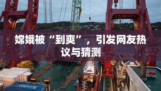 嫦娥被“到爽”，引发网友热议与猜测