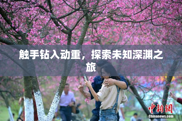 触手钻入动重，探索未知深渊之旅