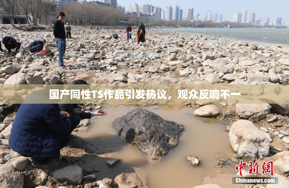国产同性TS作品引发热议，观众反响不一