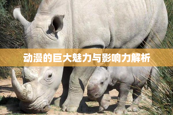 动漫的巨大魅力与影响力解析
