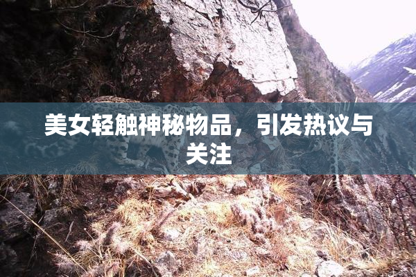 美女轻触神秘物品，引发热议与关注