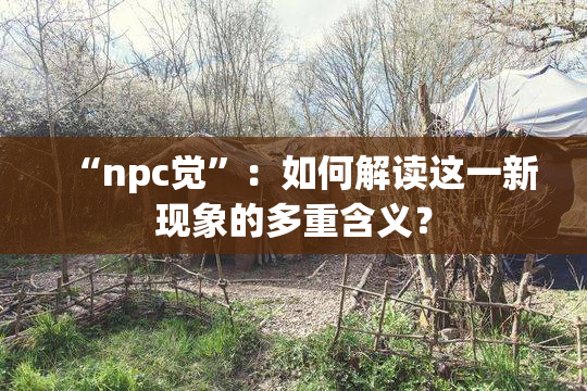 “npc觉”：如何解读这一新现象的多重含义？