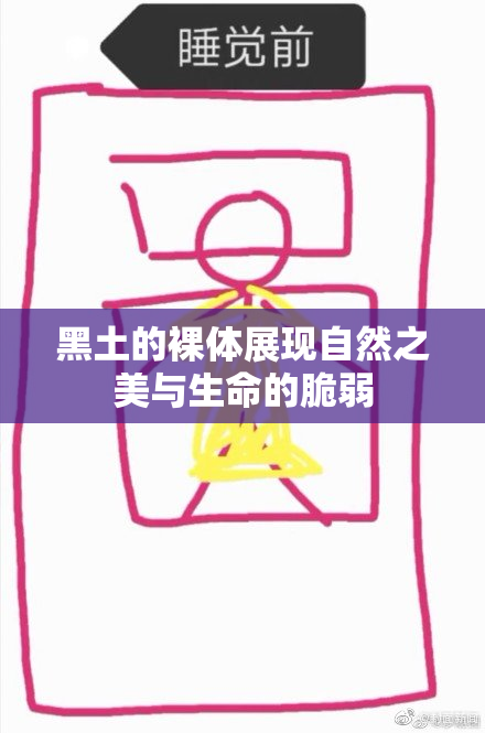 黑土的裸体展现自然之美与生命的脆弱