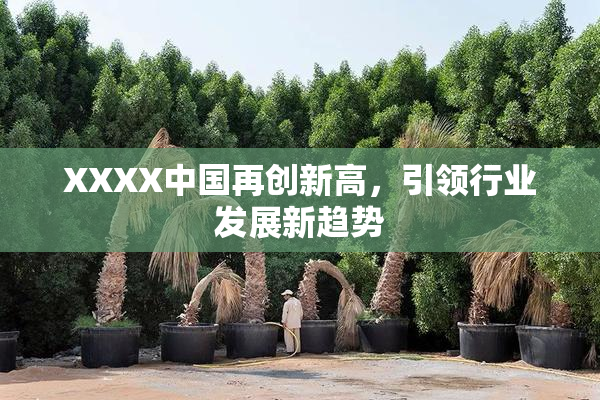 XXXX中国再创新高，引领行业发展新趋势