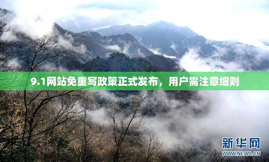 9.1网站免重写政策正式发布，用户需注意细则