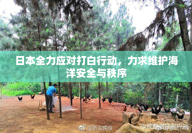 日本全力应对打白行动，力求维护海洋安全与秩序
